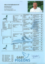 Belg2017-3008494 - Image 2