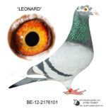Belg2012-2176101