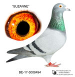 Belg2017-3008494