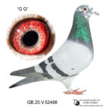 GB2020V52498